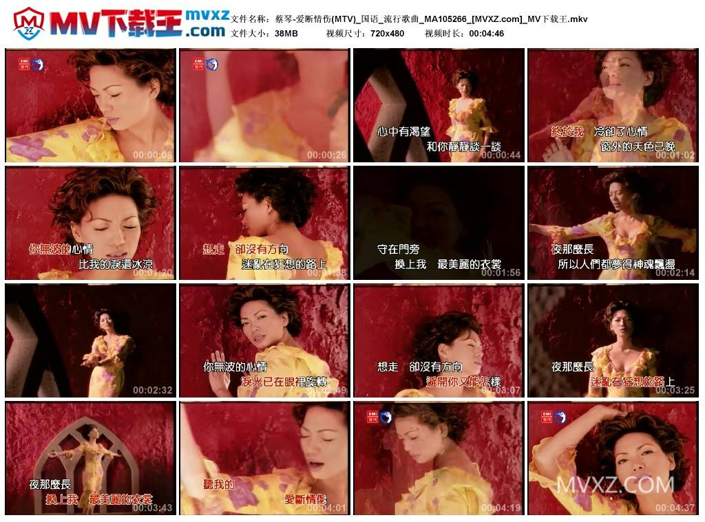 蔡琴-爱断情伤(MTV)_国语_流行歌曲_MA105266